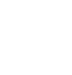 security icon
