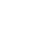 image-icon